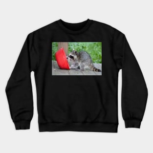 Sweet Baby Raccoon Crewneck Sweatshirt